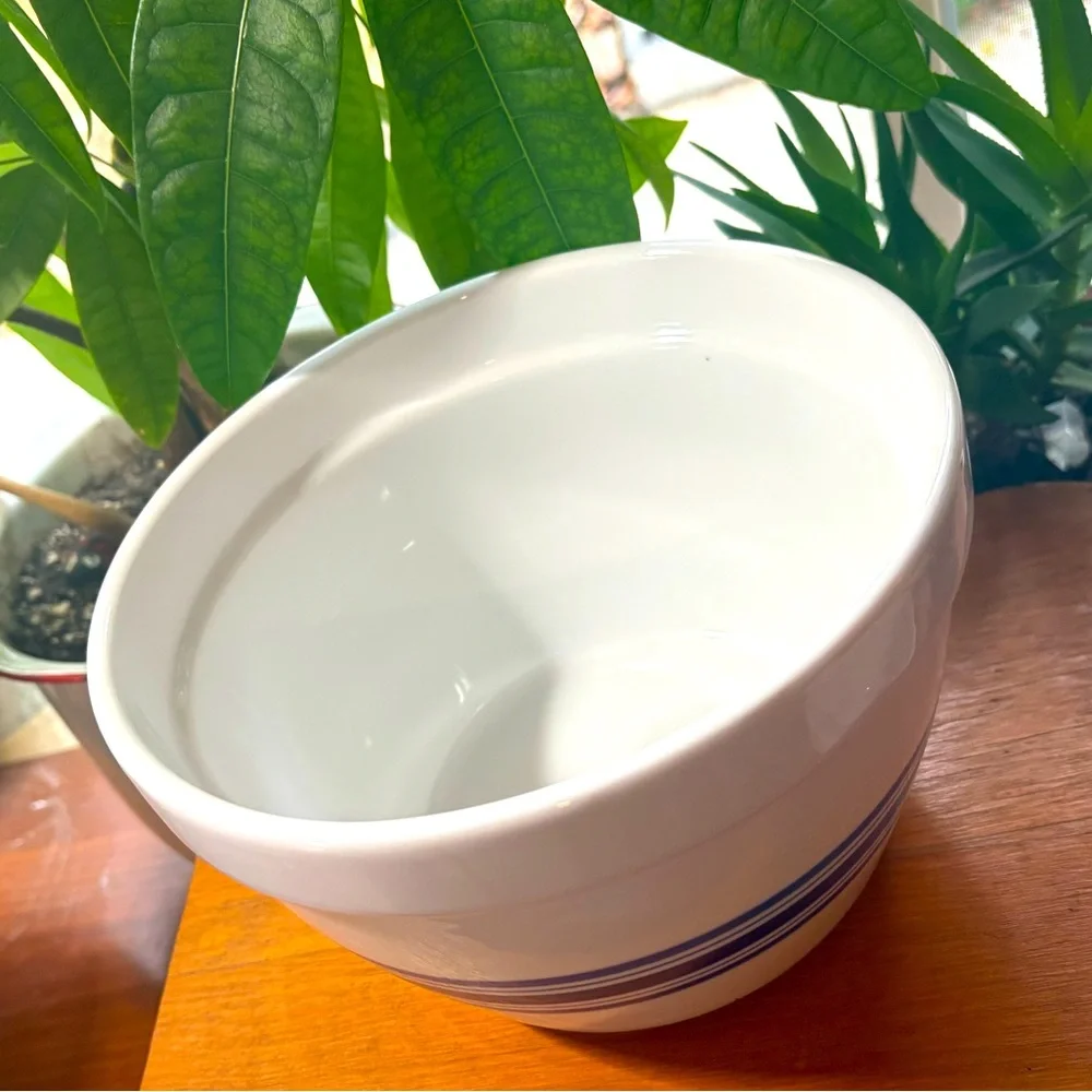 Two Crate and Barrel Heavy Ceramic Bowls White with Blue Stripes